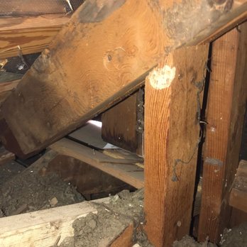 Preston Wells Construction - Entire perimeter side walls not counter flashed leaving many holes for rodents, insects, and water to enter. - Roofing Near Me - Addison, Texas