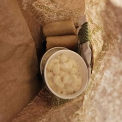 Panera Bread