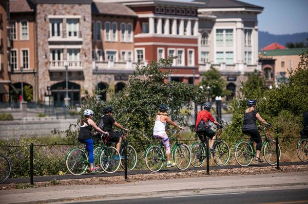 Napa Valley Vine Trail by null