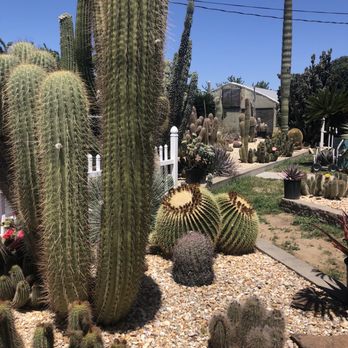 Poot's Cactus Nursery - Nurseries & Gardening Near Me - Ripon, California