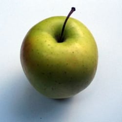 Ernährungsberatung Eisenhauer