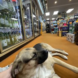 Laurel Liquors - Zeus