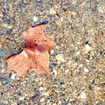 Patapsco State Park - Avalon Area - Parks Near Me - Halethorpe, Maryland
