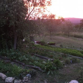 L'orto & Un Quarto - Italian Near Me - Siena, SI