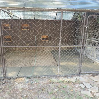 AltaPeak Construction  - A cement slab inside our chicken coop. - Masonry/Concrete Near Me