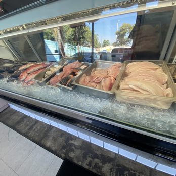 Fish Market・２２×２０×１５◇ ◇ 281ff246-d3d4-4e6f-9b4f-