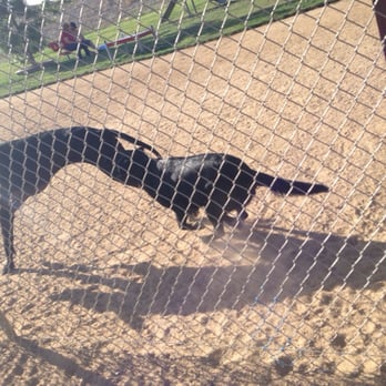 Hound Town Dog Park - Dog Parks Near Me - Moreno Valley, California