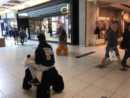 Conestoga Mall by null