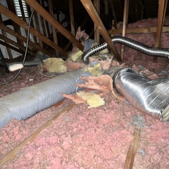 Attic Pros - Pest Control Near Me - Oakland, California Attic Pros - Pest Control Near Me - Oakland, California