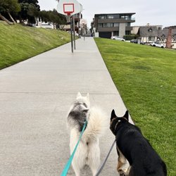 Bruce's Beach - Dogs are allowed to the right lawn but not the left in this picture