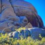 Photo of Skull Rock