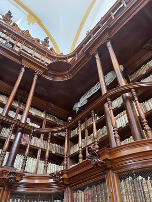 Biblioteca Palafoxiana by null