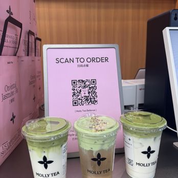 Molly Tea - Bubble Tea Near Me - Bellevue, Washington