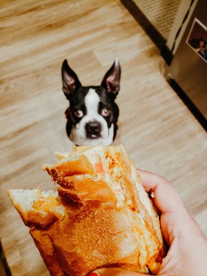 Riley's Sandwich Co. by null