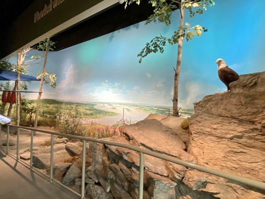 Morris Thompson Cultural & Visitors Center by null