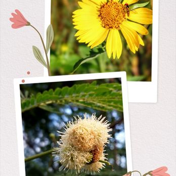 Koko Head District Park - Nature walk - Parks Near Me - Honolulu, Hawaii