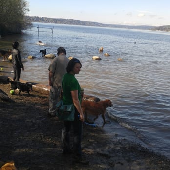 Magnuson Park Off-Leash Area - Dog Parks Near Me - Seattle, Washington