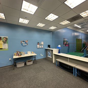 My Gym - Party & Event Planning Near Me - Alexandria, Virginia My Gym - Party & Event Planning Near Me - Alexandria, Virginia