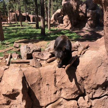 Bearizona - Zoos Near Me - Williams, Arizona