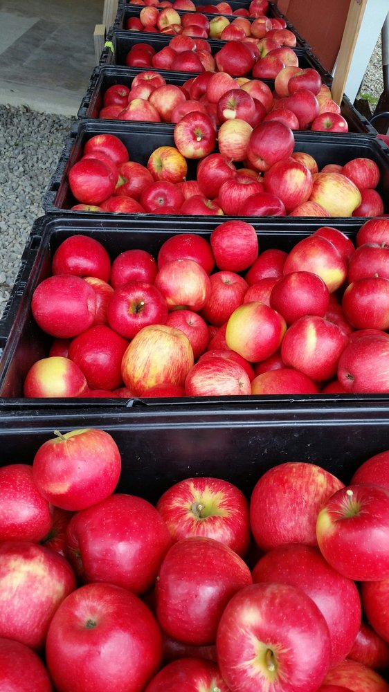 HOOPERS ORCHARD Updated September 2024 856 Back Brooks Rd, Monroe