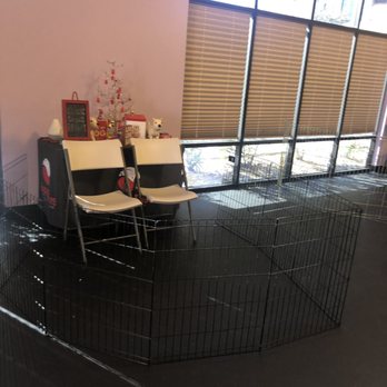 Impetus Animal Training - Pet Training Near Me - Las Vegas, Nevada Impetus Animal Training - Pet Training Near Me - Las Vegas, Nevada
