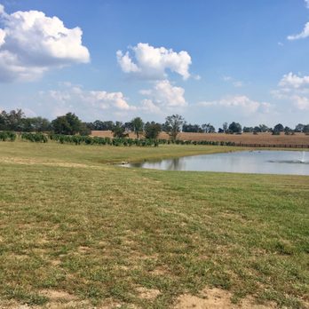 Prodigy Vineyards & Winery - Music Venues Near Me - Versailles, Kentucky Prodigy Vineyards & Winery - Music Venues Near Me - Versailles, Kentucky