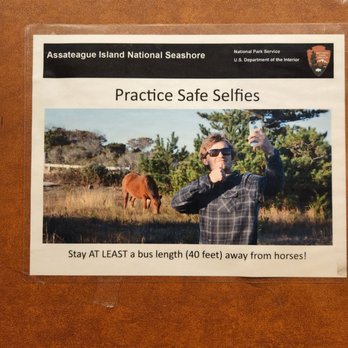 Assateague Island Visitor Center - Selfie sign - Visitor Centers Near Me - Berlin, Maryland Assateague Island Visitor Center - Selfie sign - Visitor Centers Near Me - Berlin, Maryland