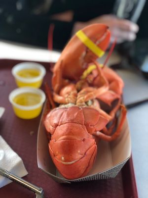 Photo of Brown's Seabrook Lobster Pound - Seabrook, NH, US. 2 pound lobster 11/2022