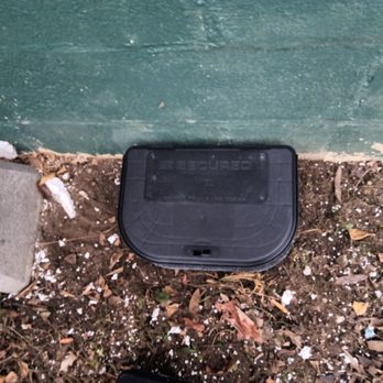 Pest Solutions - Pest Control Near Me