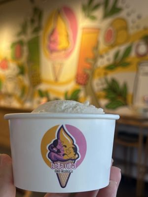 Bella Vita Ice Cream