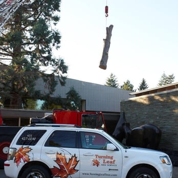 Turning Leaf Tree Service - Tree Services Near Me - Sammamish, Washington