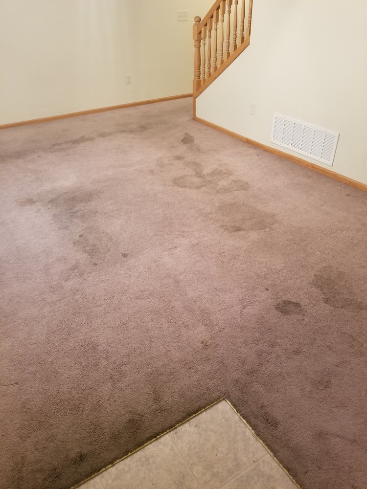 RED CARPET CLEANING SERVICE Updated September 2024 42 Photos 1640