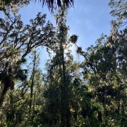 The Myron and Helen Gibbons Nature Preserve - Nature, sunshine and fresh air.