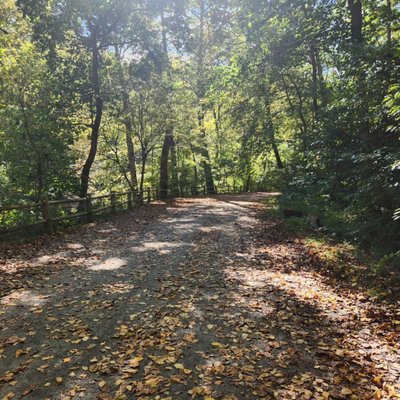 Wissahickon Valley Park by null