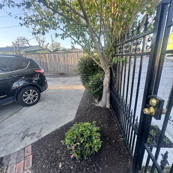 New Ground Services - Landscaping Near Me - Houston, Texas