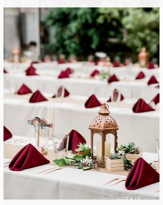 Petra Flowers by null