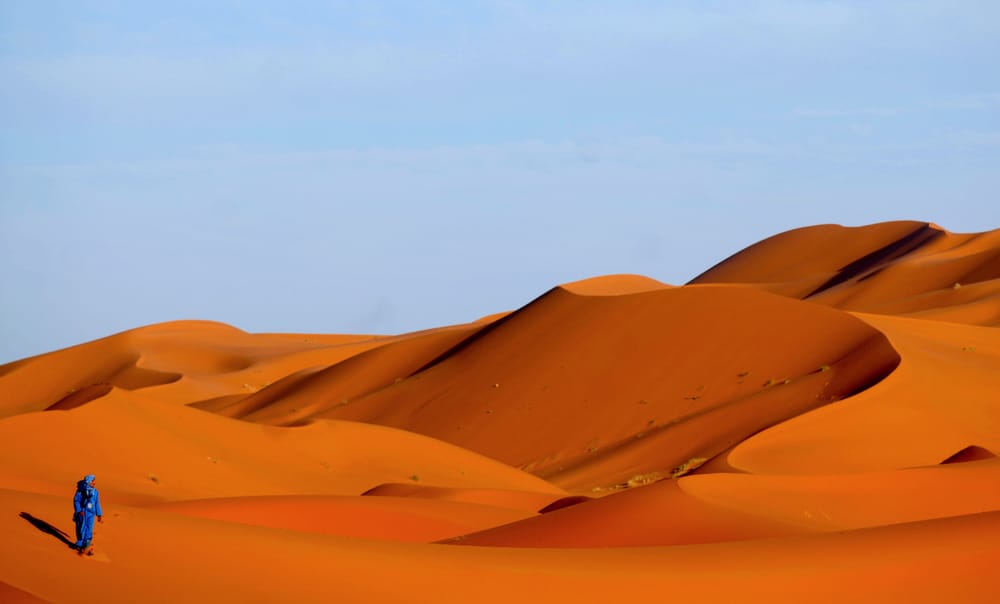 BIOTREK ADVENTURE TRAVELS Updated June 2024 Bristow, Virginia