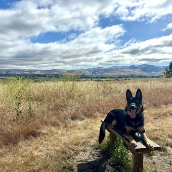 JPK9 - Pet Training Near Me JPK9 - Pet Training Near Me