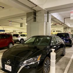 Dollar Car Rental