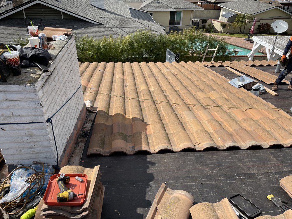 Slide of A J M D Mendoza