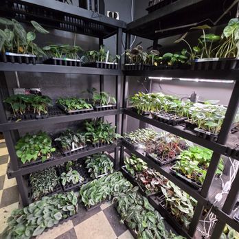 Dicks Sticks - Nurseries & Gardening Near Me - Dade City, Florida