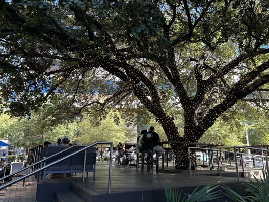 Desnudo Coffee: Downtown by null Desnudo Coffee: Downtown by null