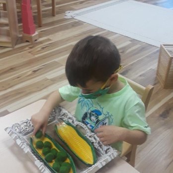 Discover Montessori School - Peas - Montessori Schools Near Me - Chicago, Illinois
