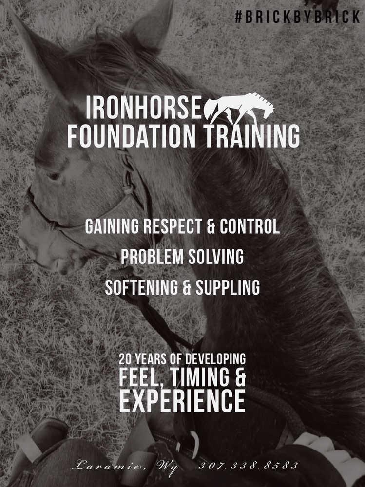 Ironhorse Foundation Training - equestrian in Laramie, WY