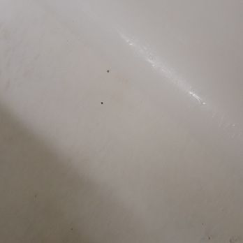 Sleep Inn & Suites - Dirty shower floors - Hotels Near Me - Winchester, Virginia