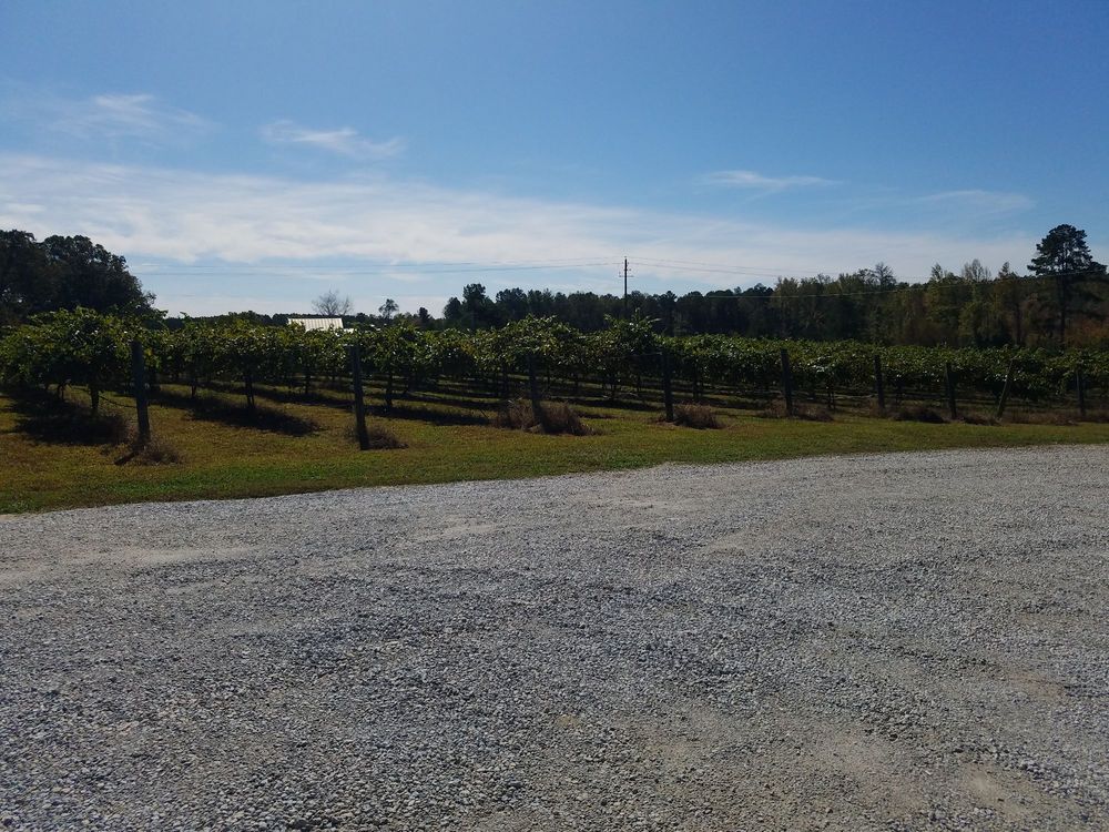 The Fruithurst Winery Co - vineyard in Fruihurst, AL