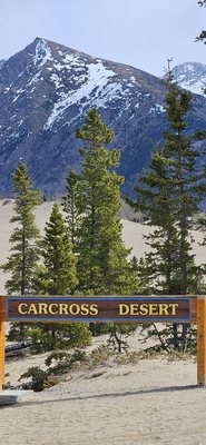 Carcross Desert by null
