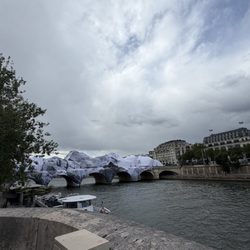 Le Pont Neuf - Covered now