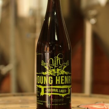 Young Henrys - Natural Lager - Breweries Near Me - Newtown, NSW