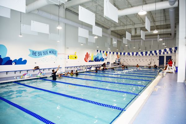 big-blue-swim-school-updated-february-2025-17-photos-18-reviews